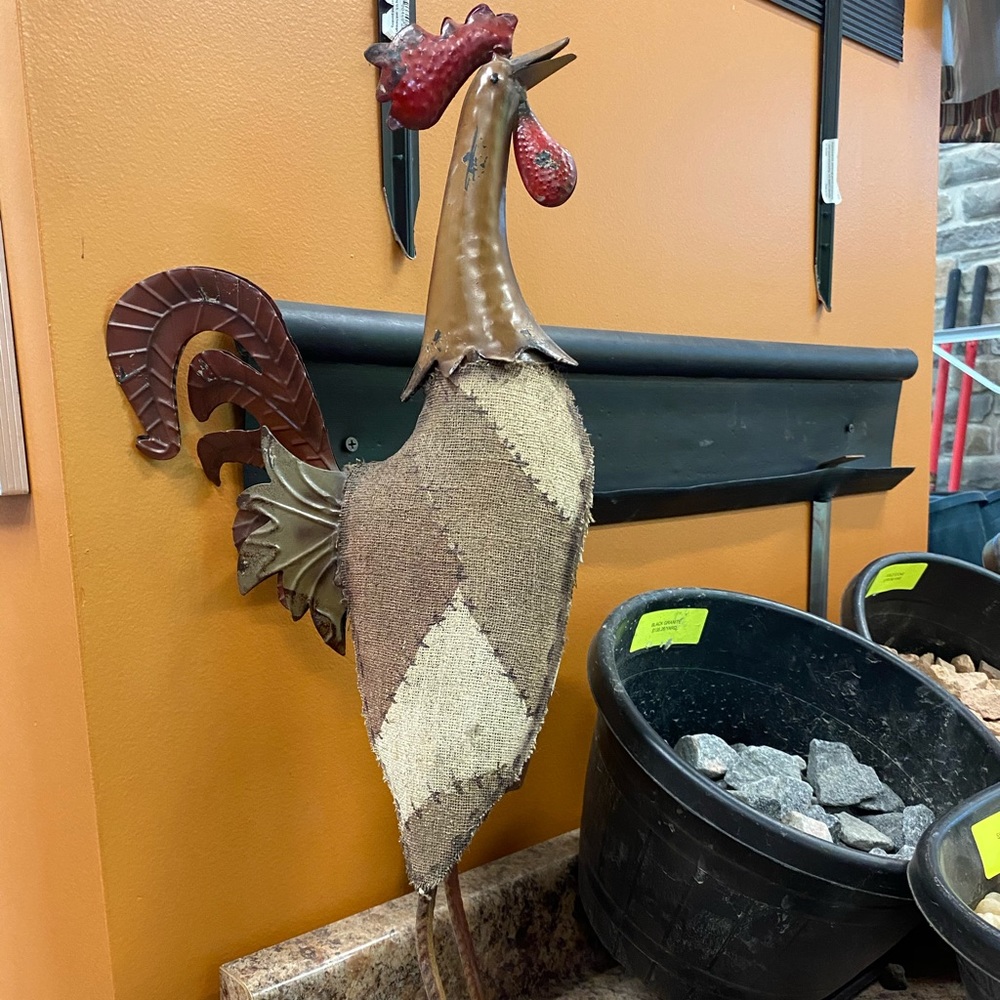 Chicken decor